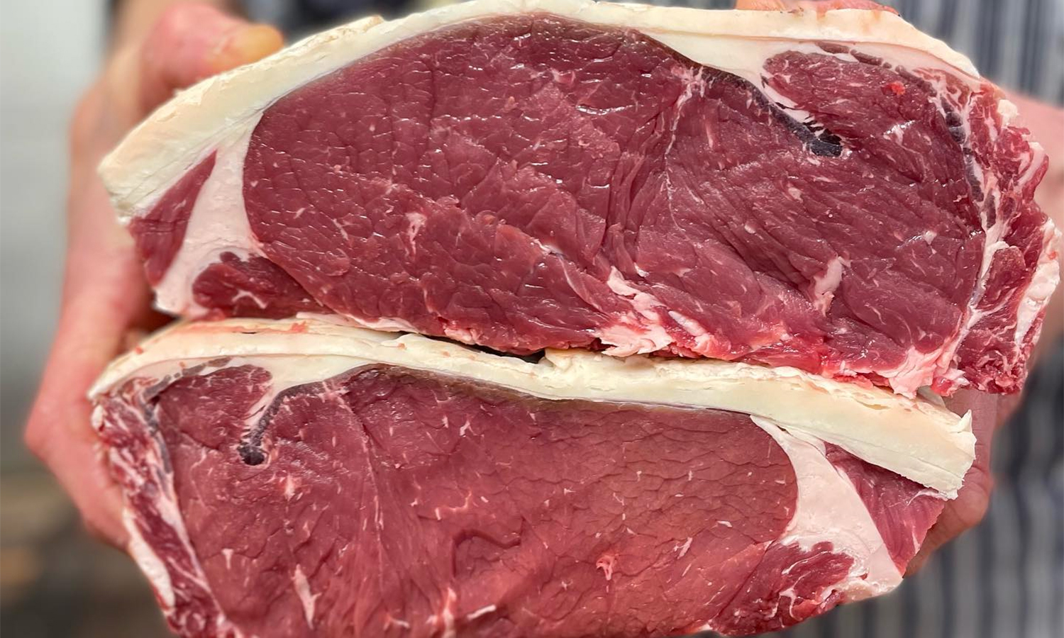 wilsons-of-york-steak2 Close up of a piece of steak