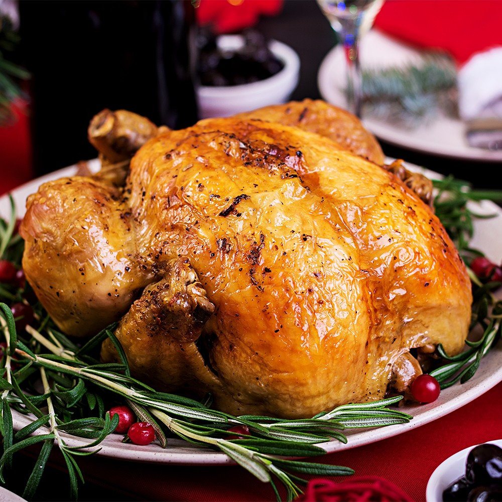 christmas-turkey Christmas Turkey